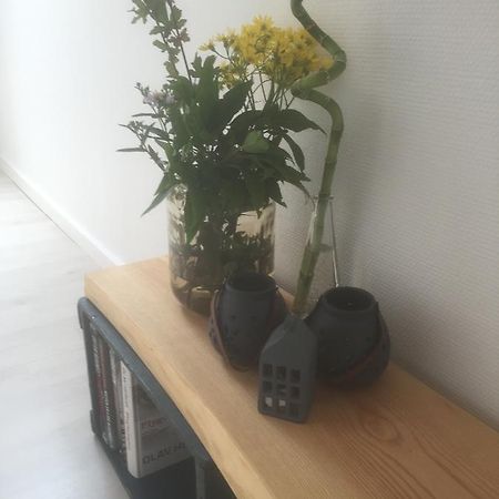 Skovlunds Panzió Hojene Kültér fotó