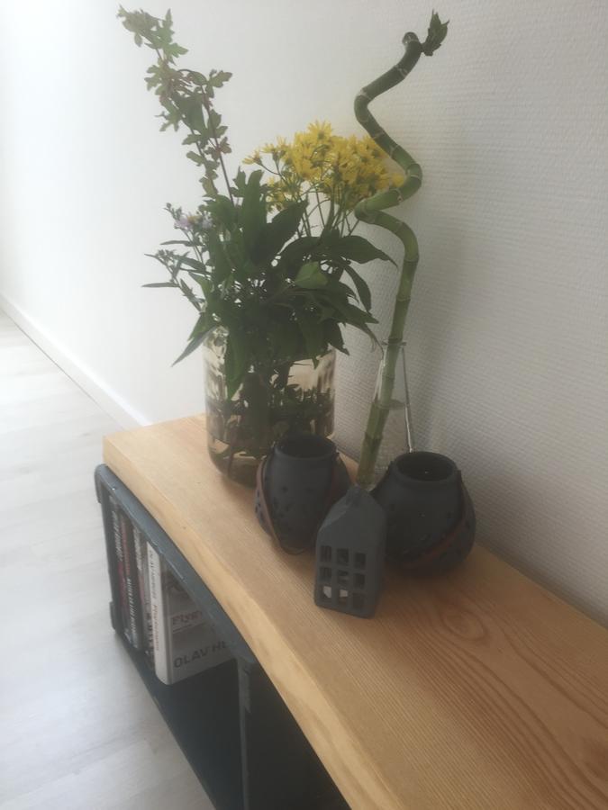 Skovlunds Panzió Hojene Kültér fotó